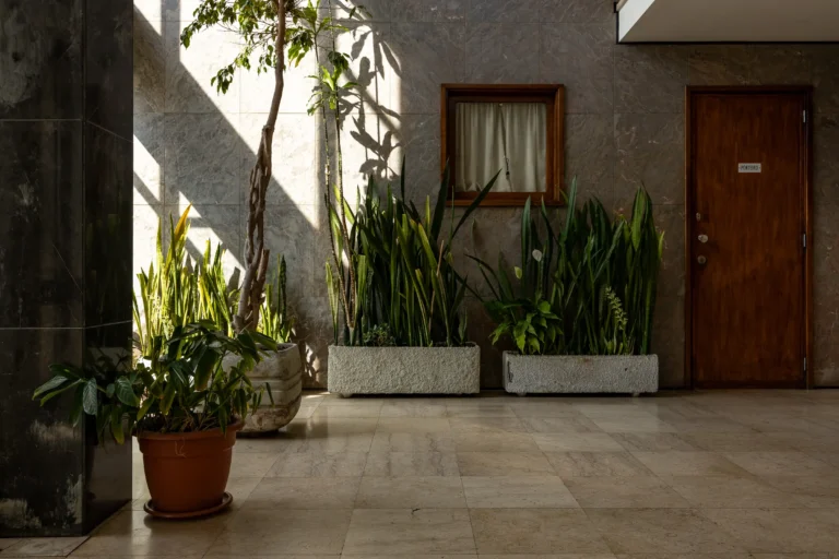 Portiernia apartamentowca z lat siedemdziesiątych z zielonymi roślinami w ciepłym świetle dnia.