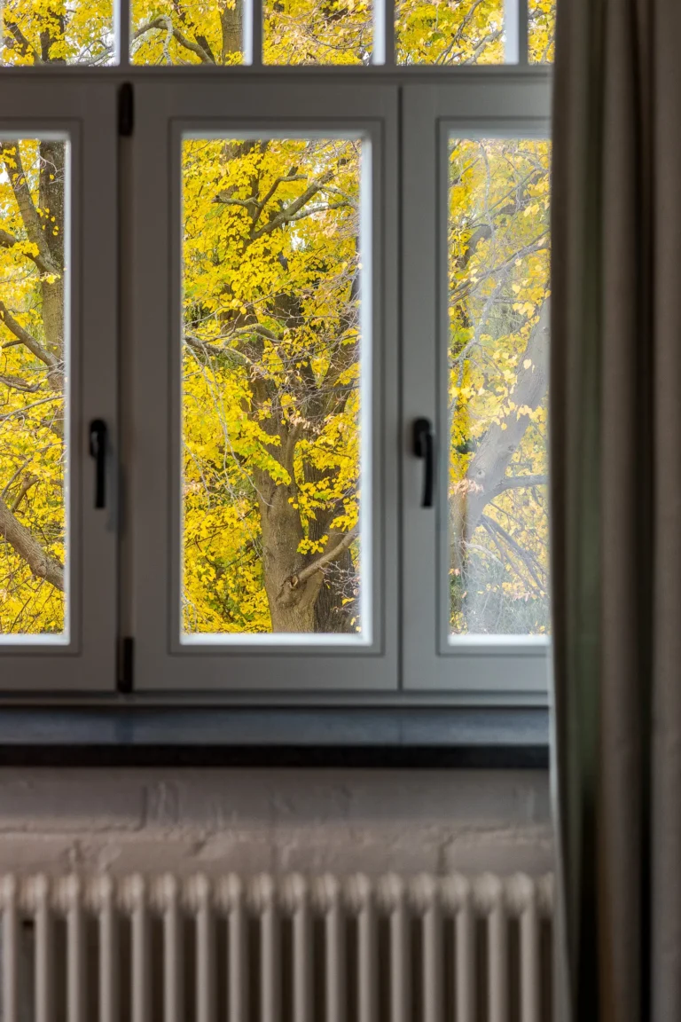 Drzewa z żółtymi liśćmi za białymi oknami modernistycznej willi.