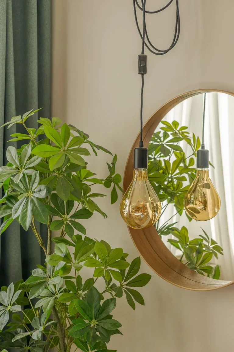 Zielona roślina i ozdobna żarówka odbijają się w okrągłym lustrze.